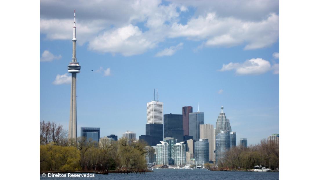 Presidente do Camões defende novo modelo de escolas certificadas para todo o mundo 