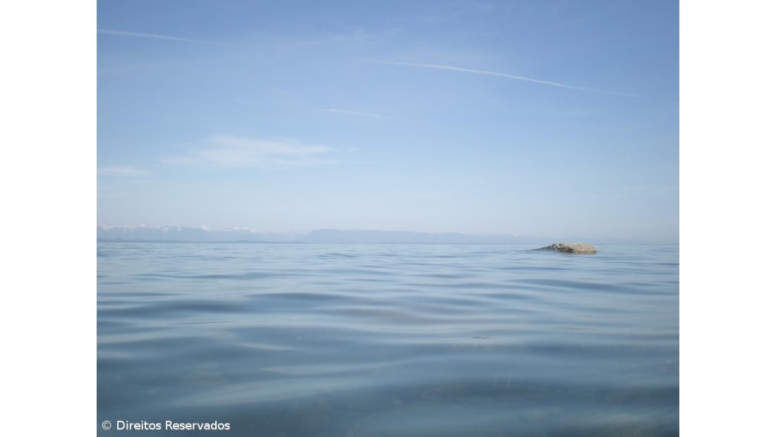 Eurodeputados defendem utilização sustentável dos oceanos