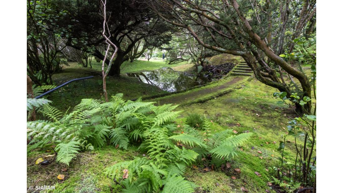 Ampliação de jardim no Faial permite aumentar capacidade de recuperação de espécies