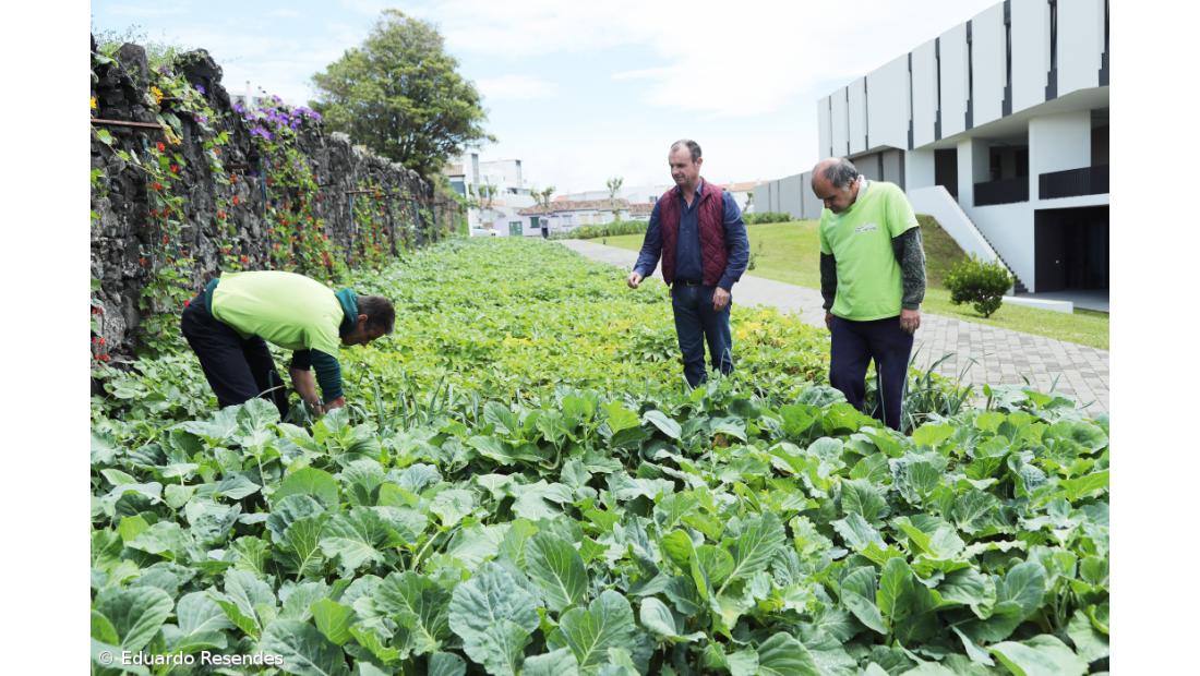 Projeto reergue vidas a partir do trabalho na terra – Imagem 5