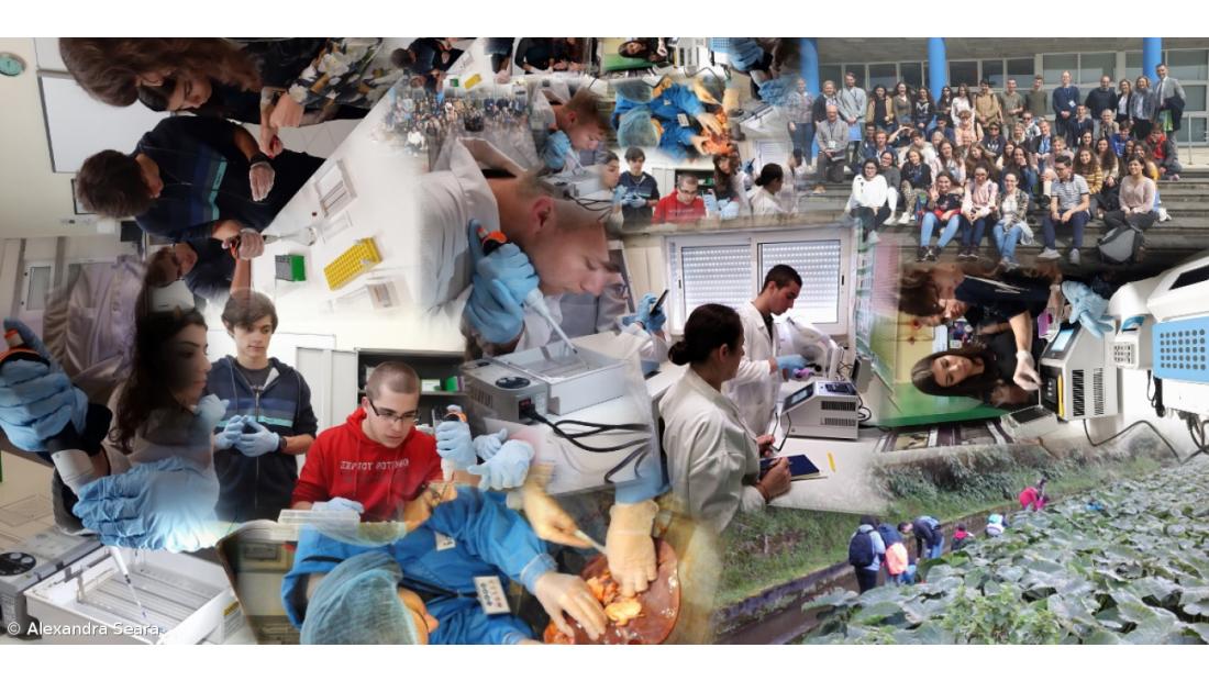 Trabalho em Ciência Biomolecular na ESLagoa – Imagem 1
