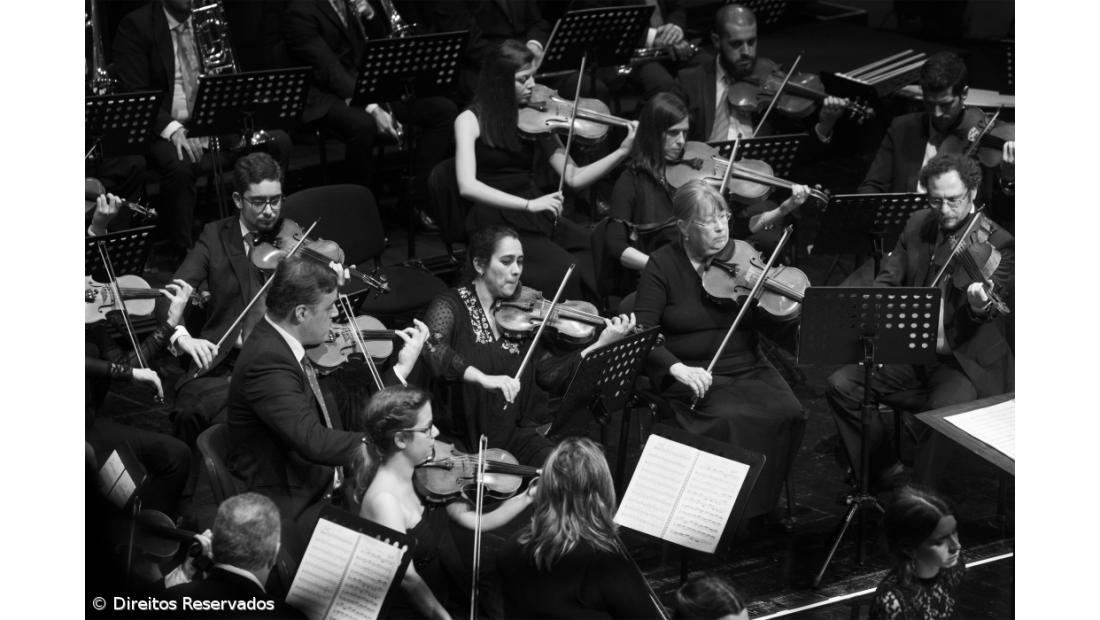 Teatro Micaelense retoma a atividade a 5 de setembro – Imagem 4