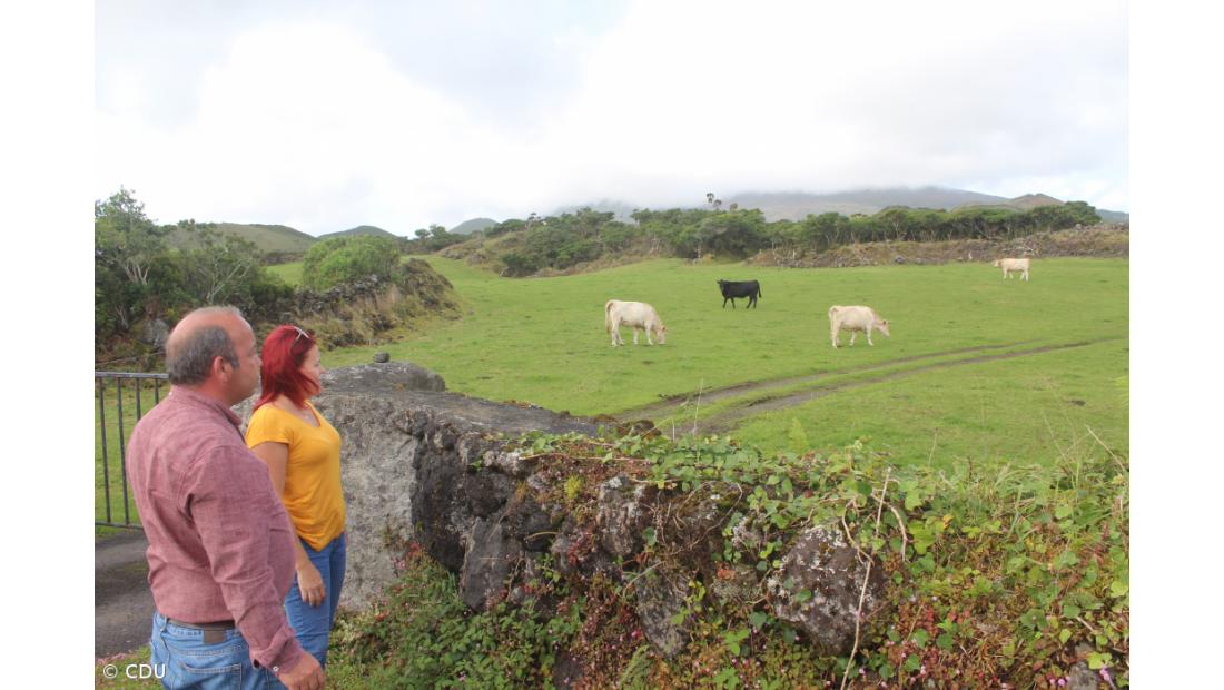 CDU quer POSEI de transportes para uniformizar custos de produção agrícola – Imagem 1
