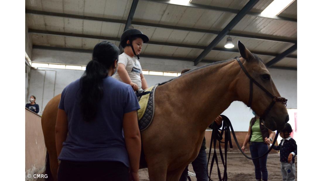 Câmara da Ribeira Grande mantém parceria com Associação Equestre de São Miguel – Imagem 2