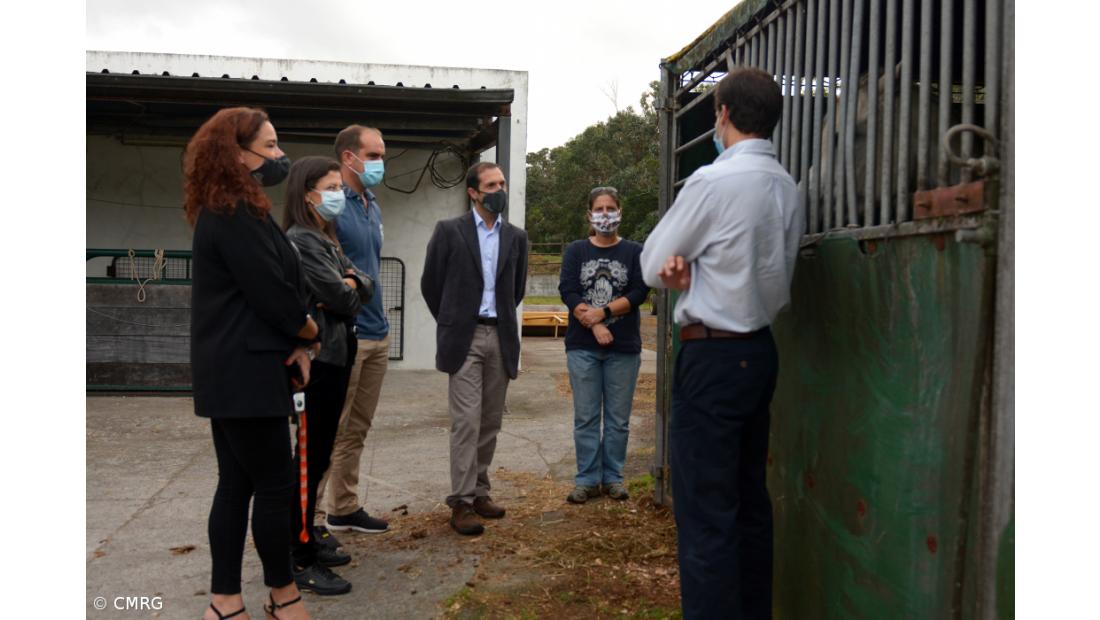 Câmara da Ribeira Grande mantém parceria com Associação Equestre de São Miguel – Imagem 3