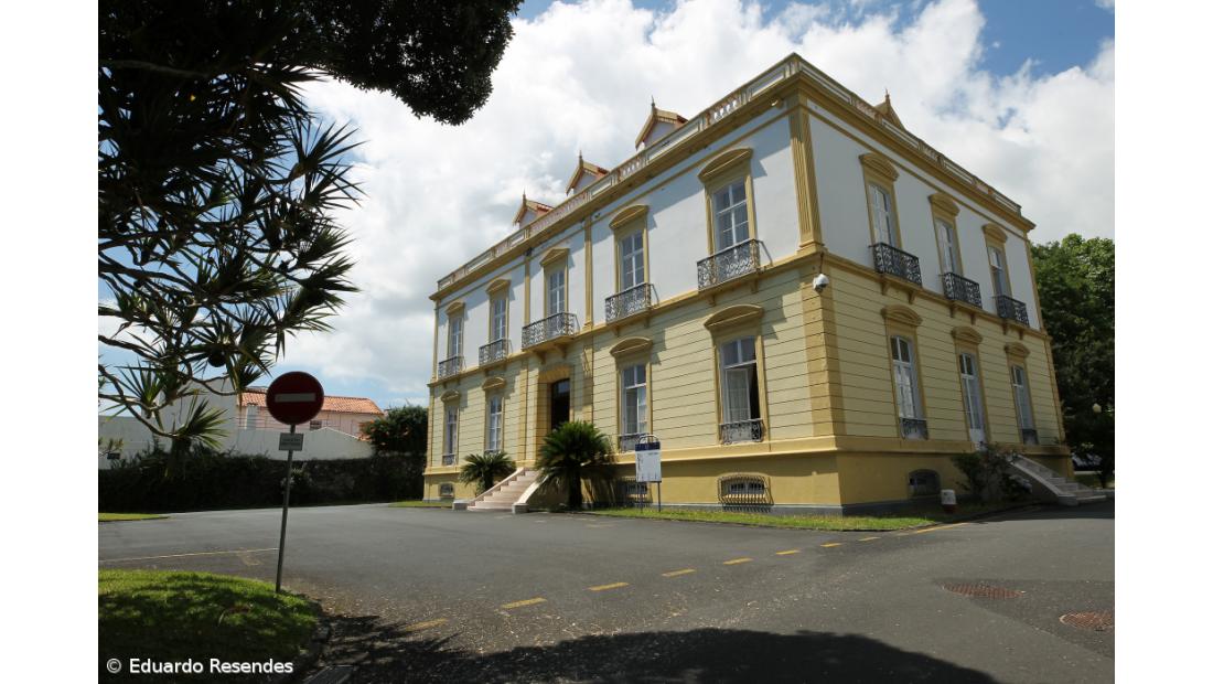 Aulas da turma do 2.º ano do curso de Natureza e Património à distância