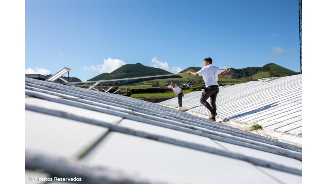 Ananás não deixou de se vender mas preço caiu 50% – Imagem 1