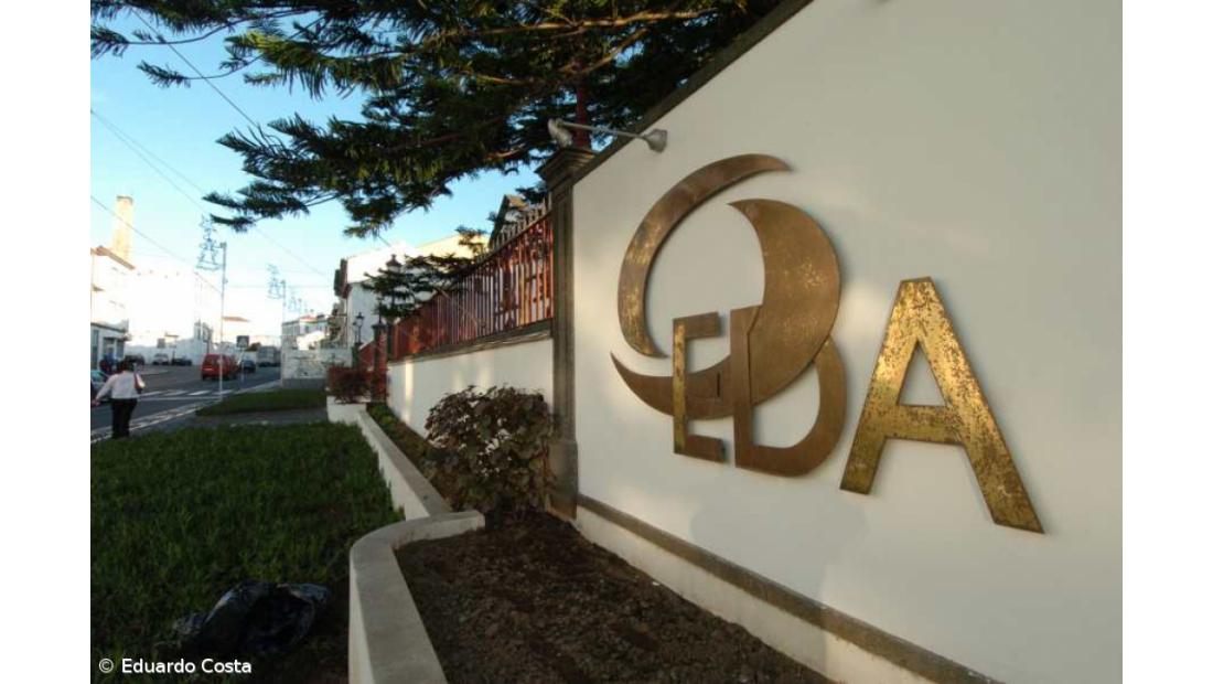 EDA justica abate de árvores em propriedade privada