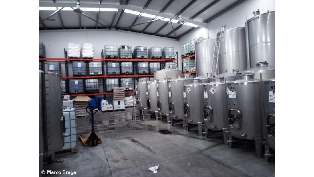 Visita de Estudo - Turma Técnico Comercial 3 Ano – Imagem 3