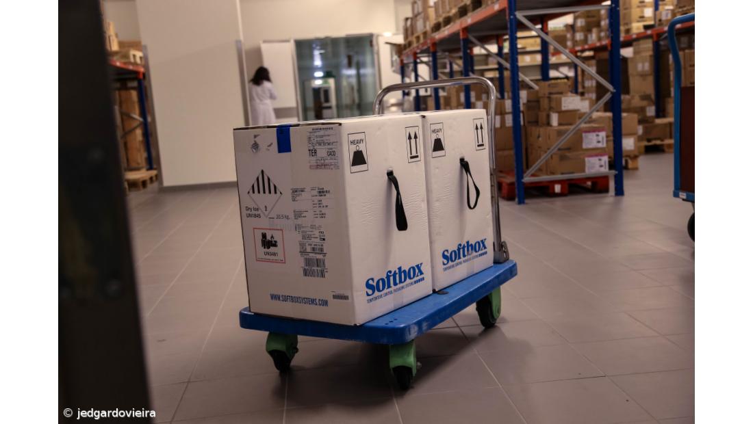 Vacinas contra a Covid-19 chegaram aos Açores – Imagem 1