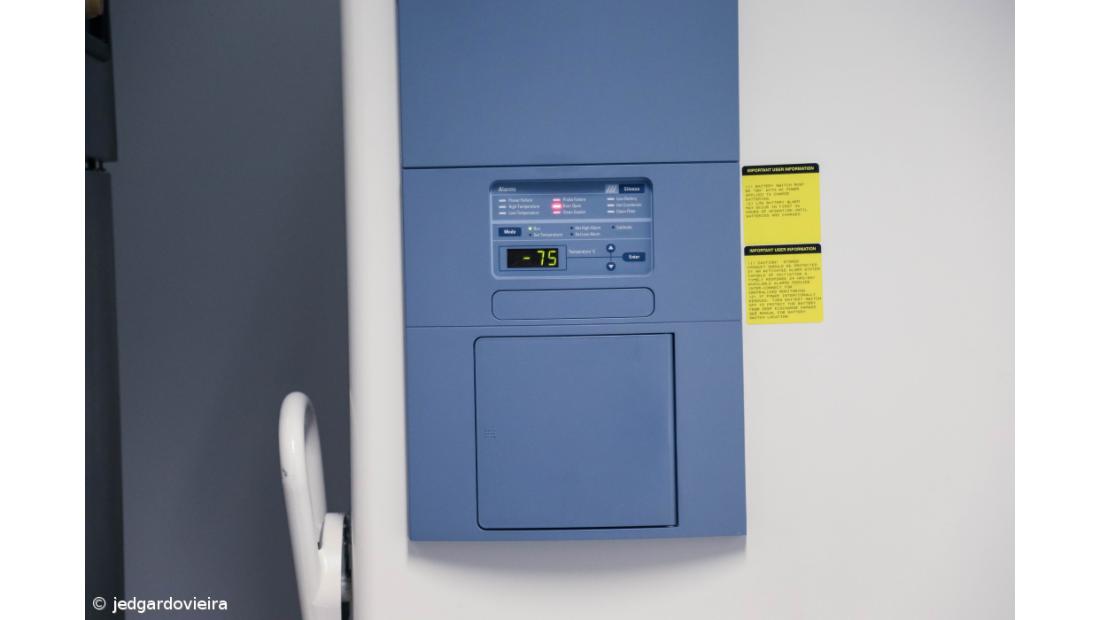 Vacinas contra a Covid-19 chegaram aos Açores – Imagem 6