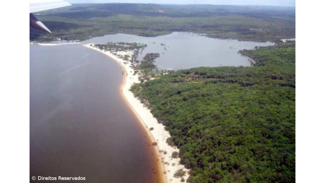 Brasil confirma circulação na Amazónia de nova estirpe detetada no Japão