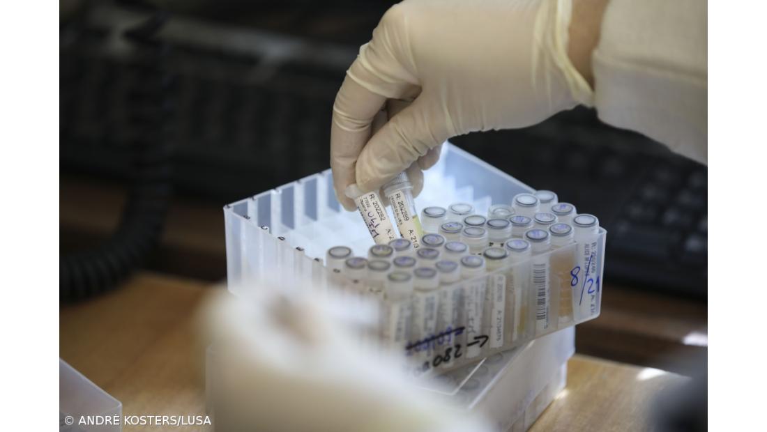 Instituto Ricardo Jorge atento ao vírus da síndrome respiratória do Médio Oriente