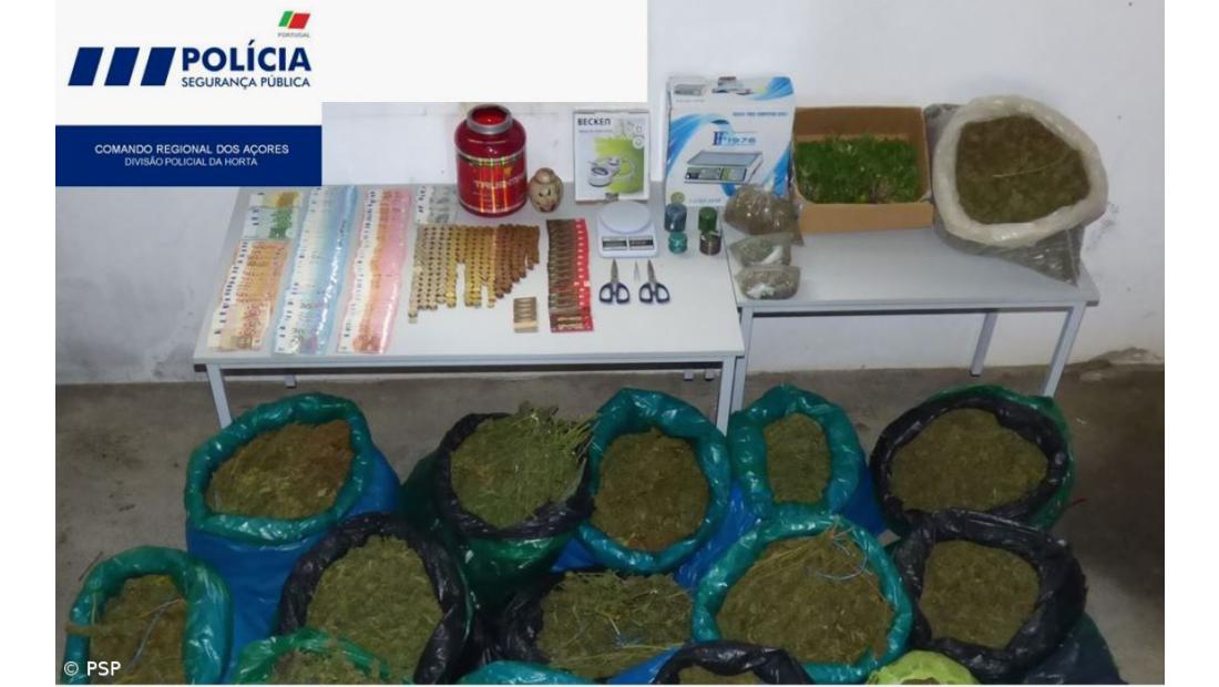 Apreensão de 11.800 doses de Liamba, em Santa Cruz das Flores