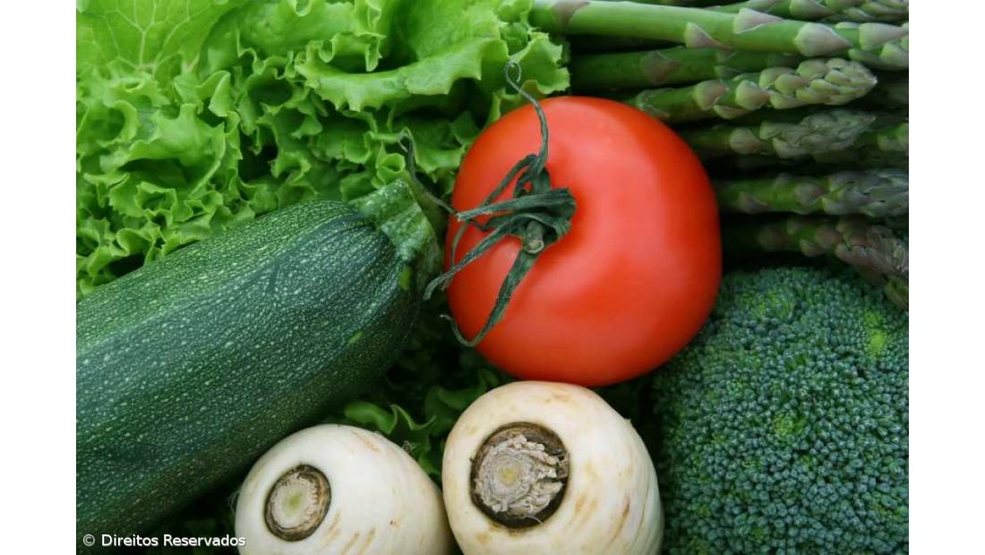 FAO alerta que 842 milhões passam fome no Dia Mundial da Alimentação 