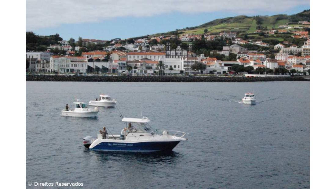 Ilha do Faial vai receber uma das maiores coleções europeias de orquídeas 
