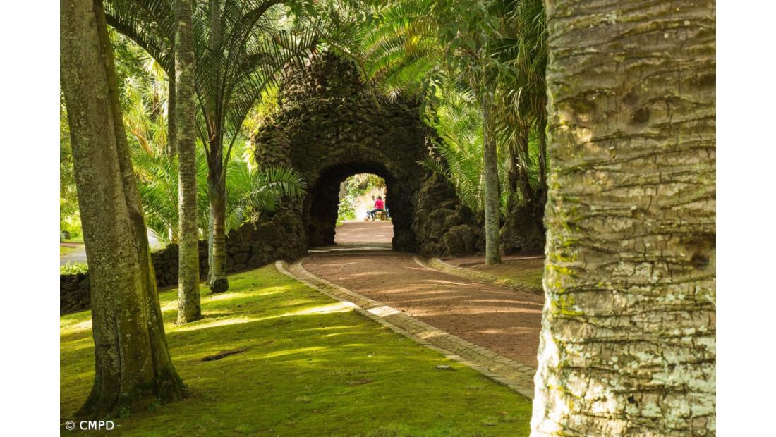 Lançamento do livro "Jardim António Borges - Um Património Singular de Ponta Delgada”