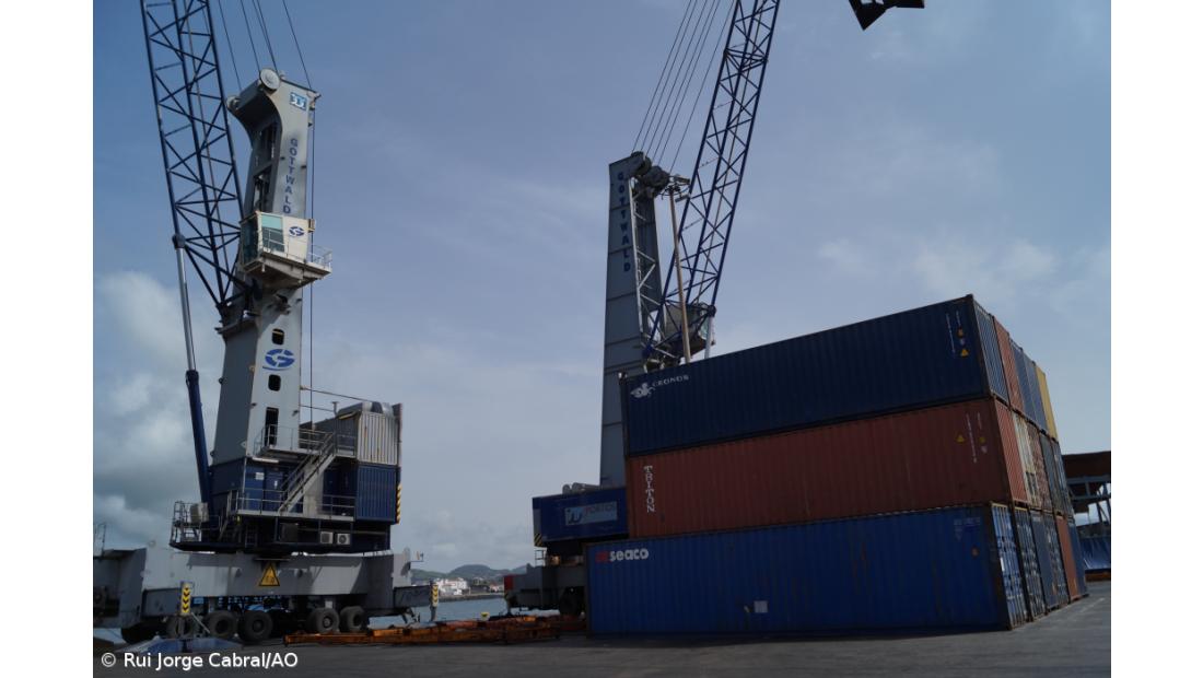 Distribuição garante que não faltam produtos 