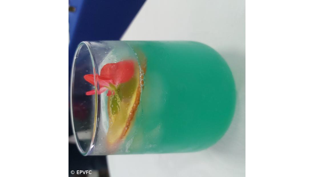 Curso Técnico de Restaurante/Bar – Imagem 51