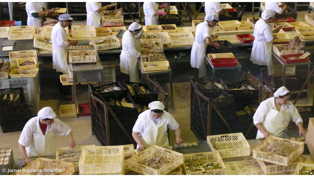 Cofaco adia por 15 dias transferência de trabalhadores do Faial para o Pico