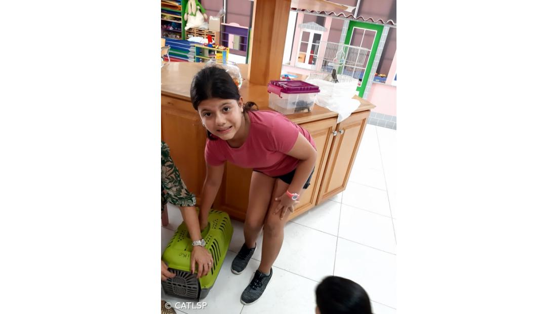 Atividades do Dia Mundial do Animal – Imagem 1