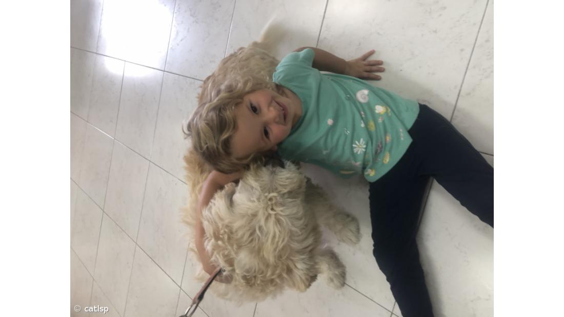 Atividades do Dia Mundial do Animal – Imagem 7