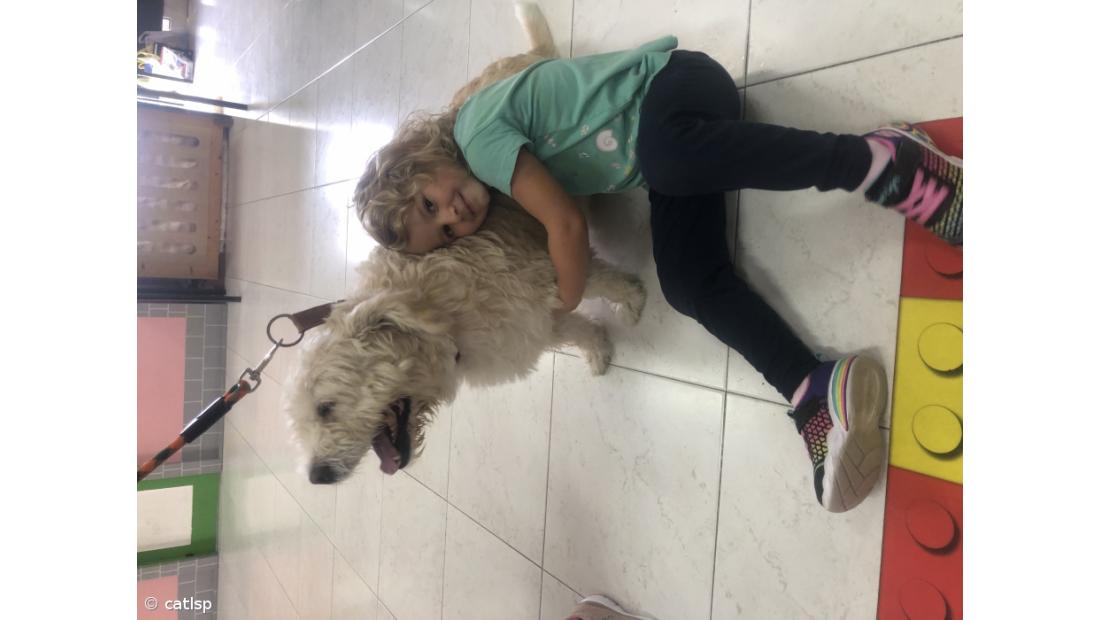 Atividades do Dia Mundial do Animal – Imagem 6