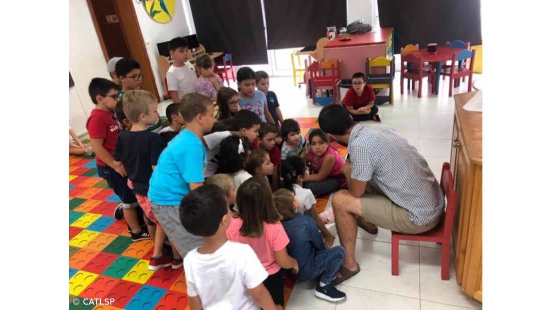 Recolha de Alimentos para Gato – Imagem 1