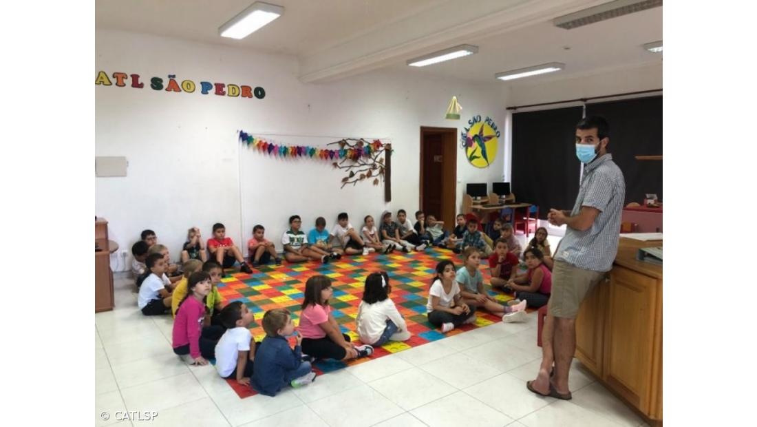 Recolha de Alimentos para Gato – Imagem 2