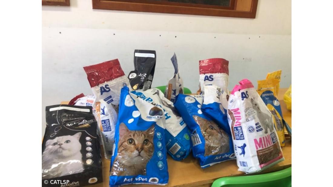 Recolha de Alimentos para Gato – Imagem 4