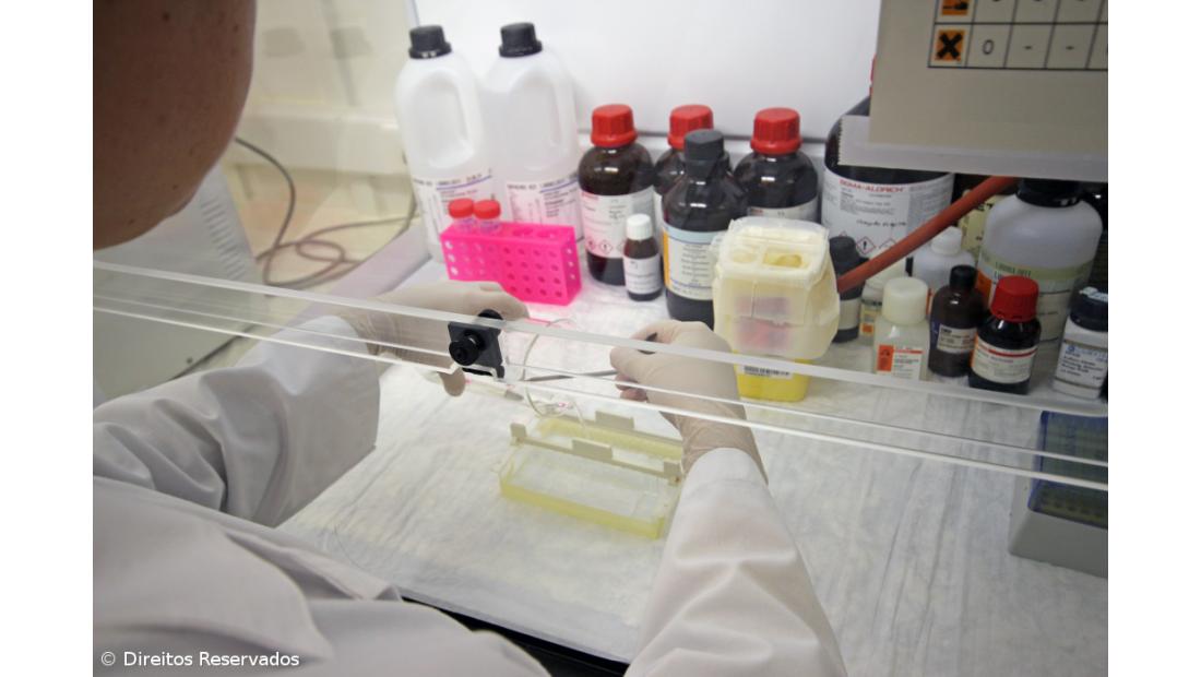 Cinco farmacêuticos excluídos da carreira no SRS