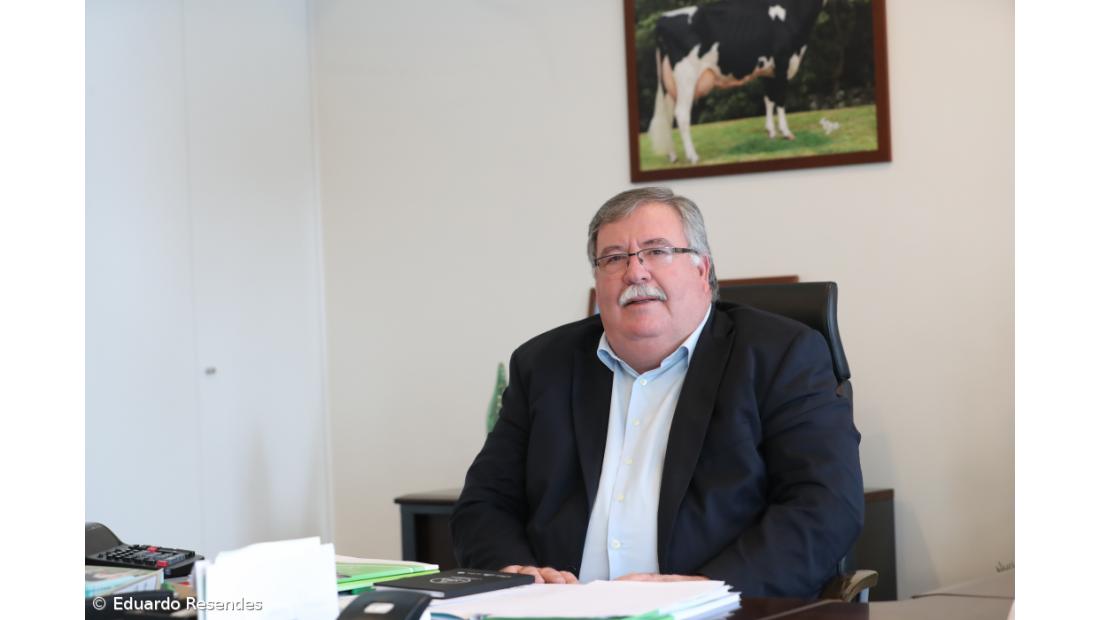 Genética das vacas ganha mais importância com menos produção – Imagem 1