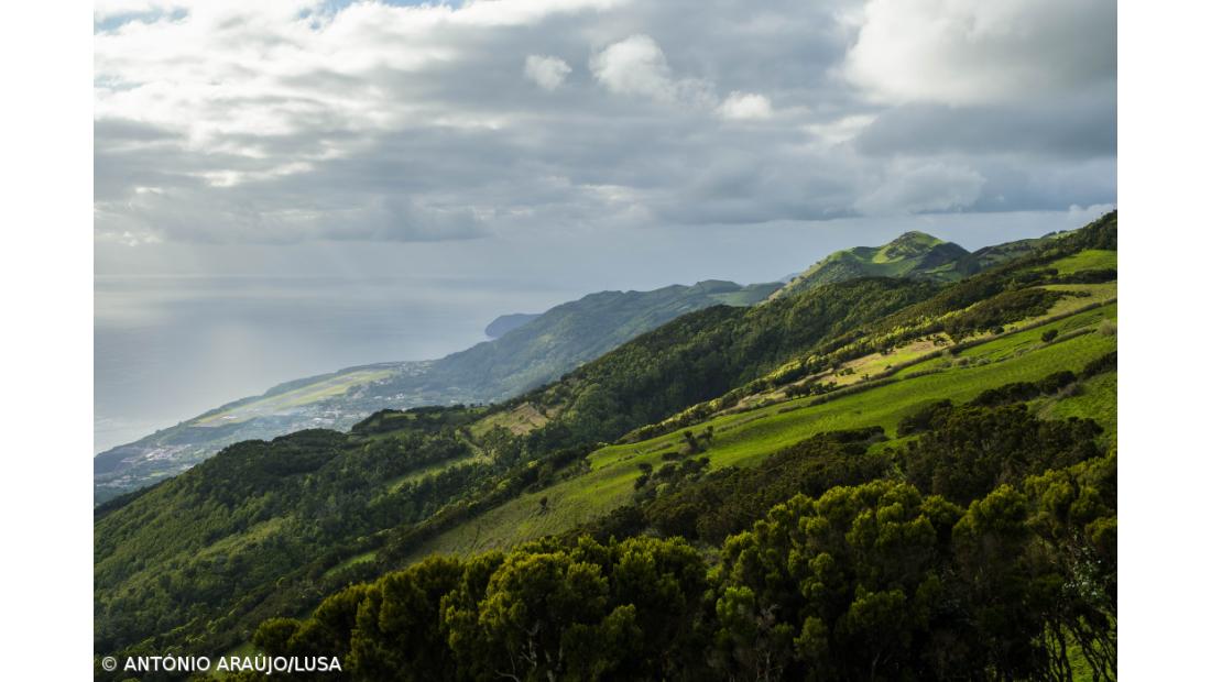 Abalo com magnitude 2,1 sentido na ilha de São Jorge