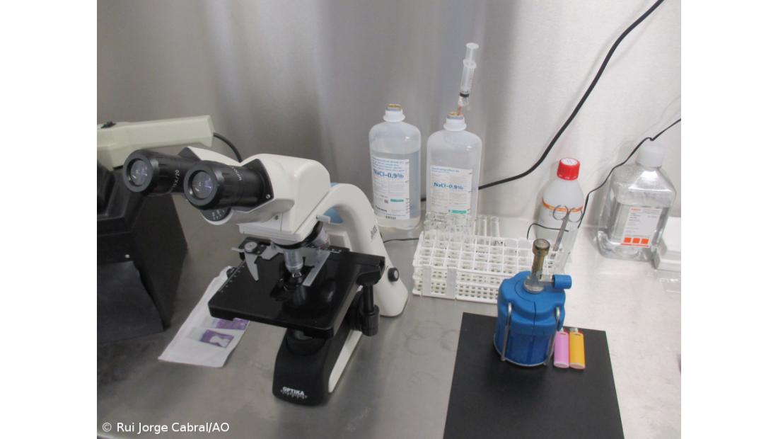 Genética das vacas ganha mais importância com menos produção – Imagem 2