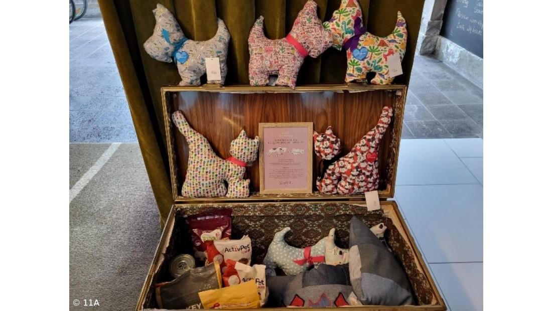 Turma do 11ºA ajuda os animais