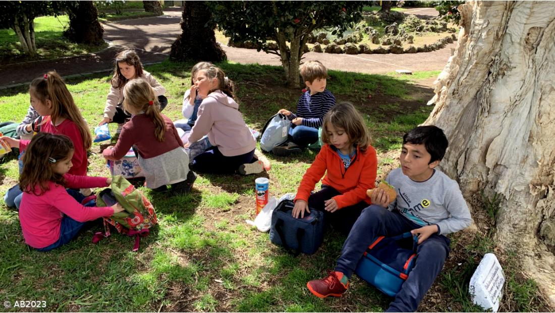A Escola Secundária Antero de Quental acolheu 30 crianças do Projeto de Inovação Pedagógica Novas Rotas – Imagem 14