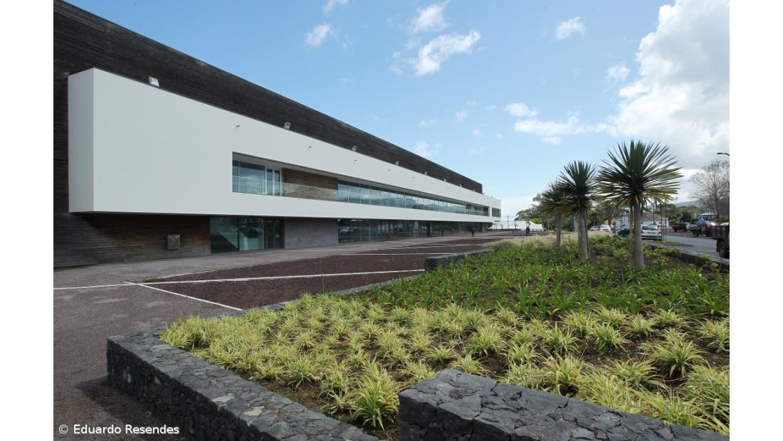 Colóquio sobre estratégias para aumentar a cadeia de valor da carne dos Açores