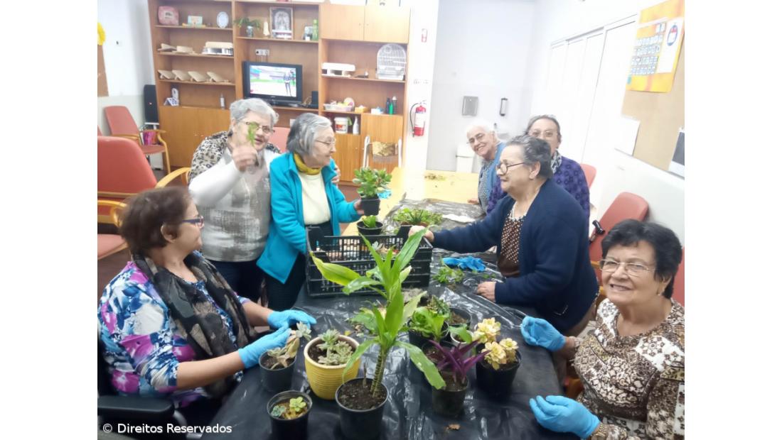 Centro festeja 25 anos ao serviço das famílias – Imagem 2