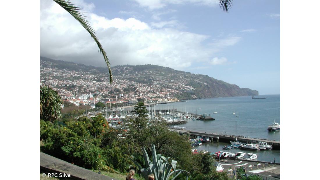 CNE vai investigar alegado transporte ilegal de eleitores