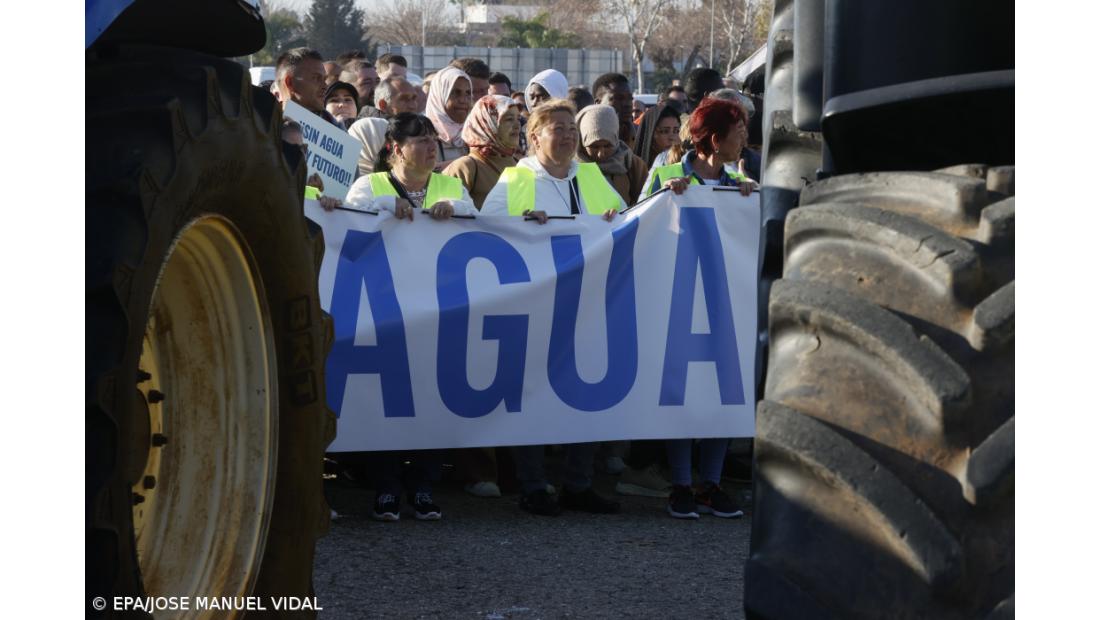 Milhares de agricultores espanhóis manifestam-se em Sevilha por causa da seca
