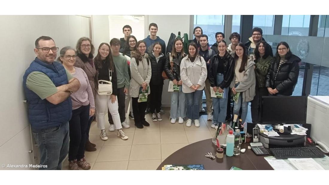 A Seleção Artificial dos bovinos nos Açores – Imagem 3