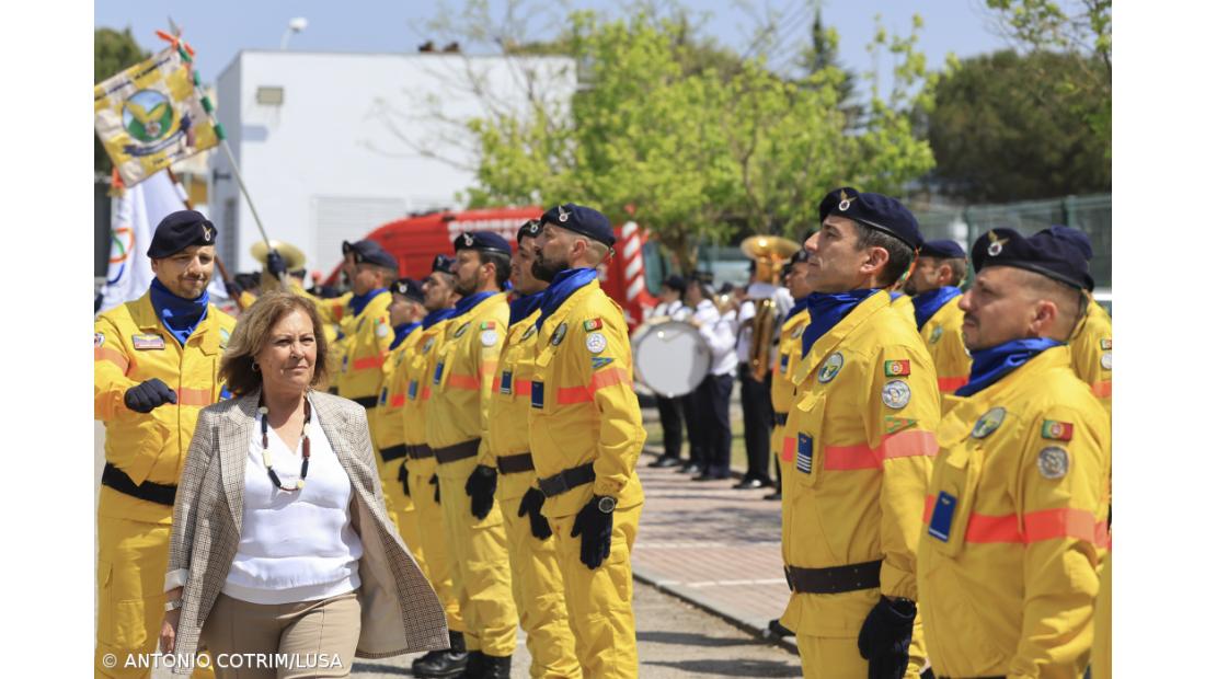 MAI apela à limpeza dos terrenos rurais