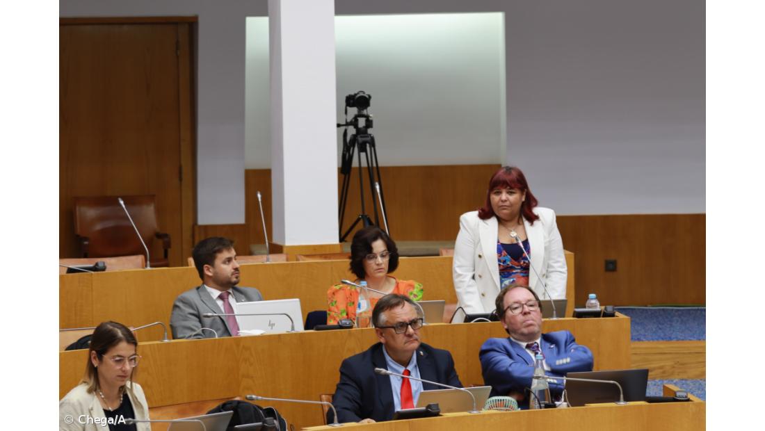 Parlamento dos Açores aprova anteproposta para simplificar subsídio de mobilidade