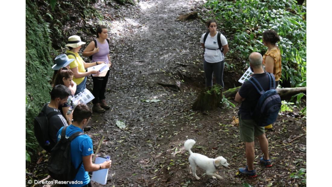 Projeto quer tornar trilho da Janela do Inferno em laboratório educativo – Imagem 2