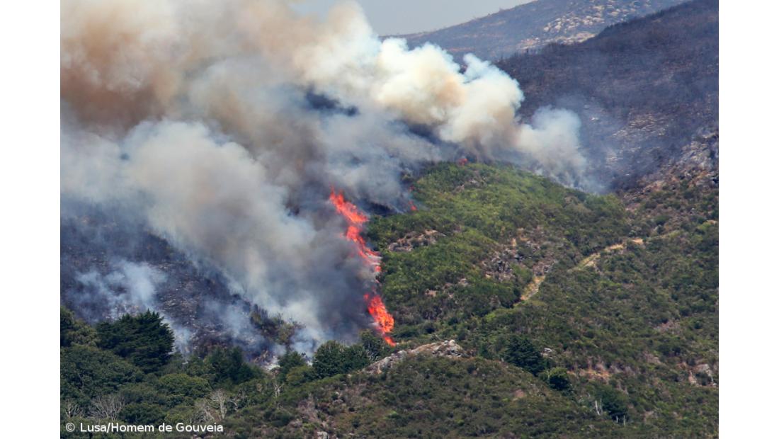 Área ardida na Madeira ultrapassou 5.100 hectares