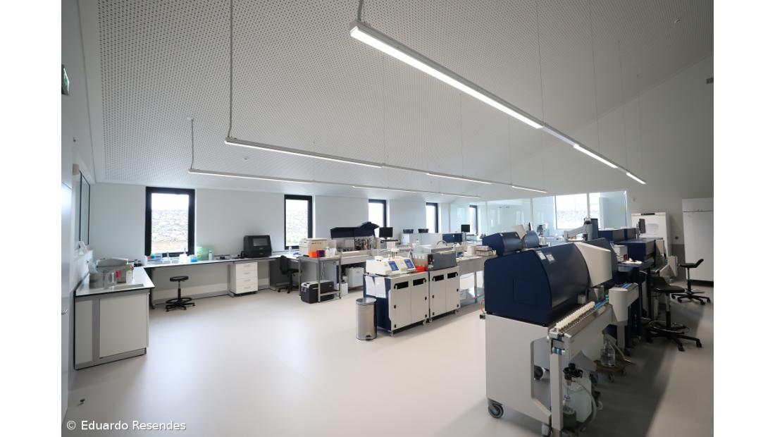 Serviço de Classificação de Leite com melhores condições 