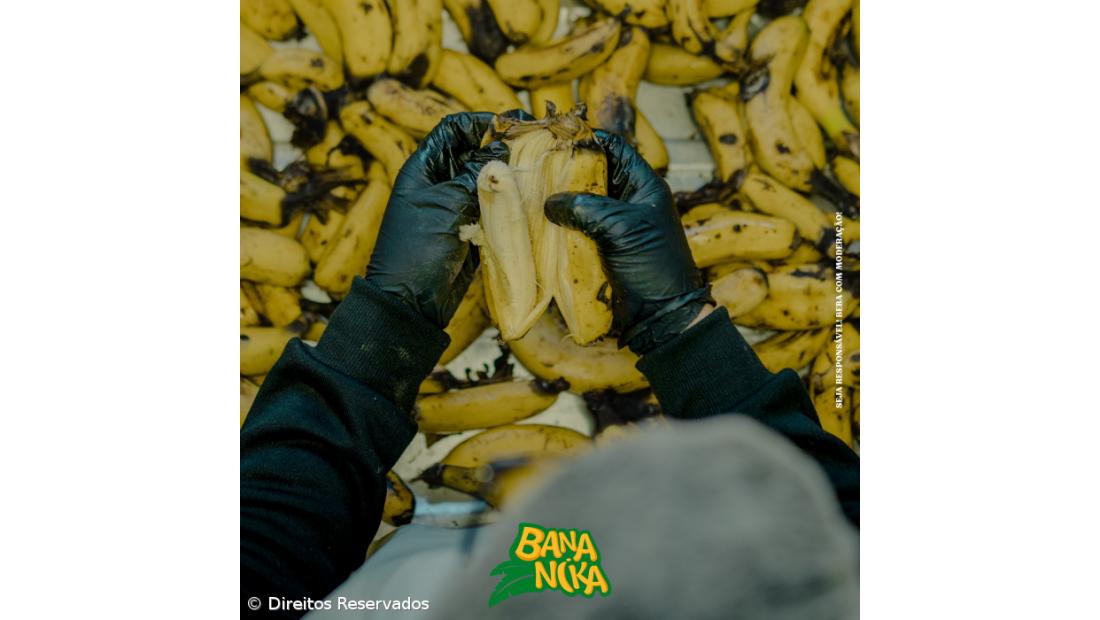 Sidra de banana, conservas de peixe fumado ou mel são algumas das produções de Tibério Barbeito – Imagem 1