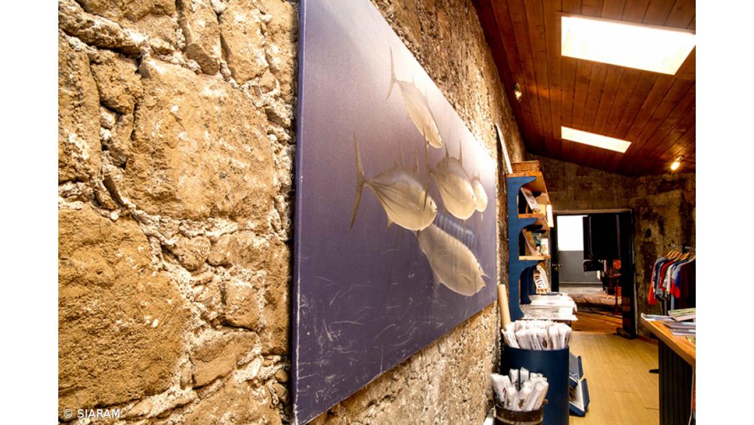 Programa educativo sobre o Mar já atingiu 125 mil alunos nos Açores