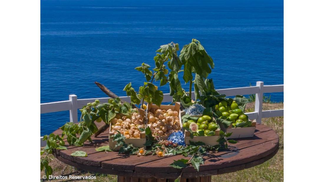 Frascos de respeito e paixão pela natureza – Imagem 3