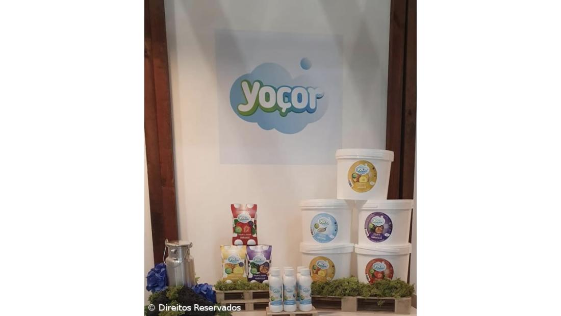 Do leite se faz e aos Açores sabe – Imagem 3